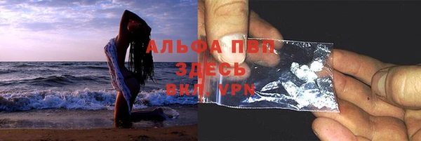 сатива Балахна