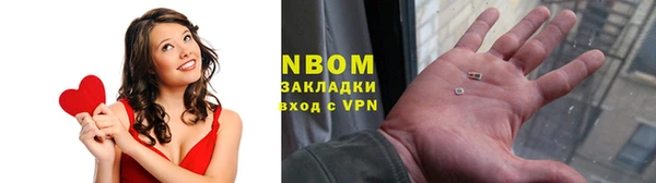 ГАЛЛЮЦИНОГЕННЫЕ ГРИБЫ Белокуриха
