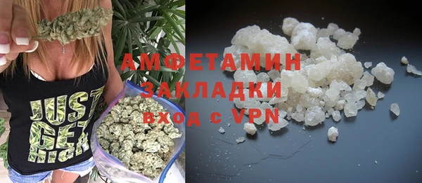сатива Балахна