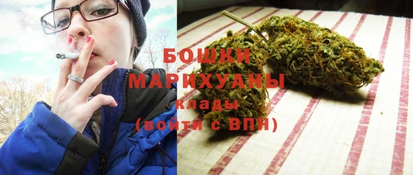 СК Строитель